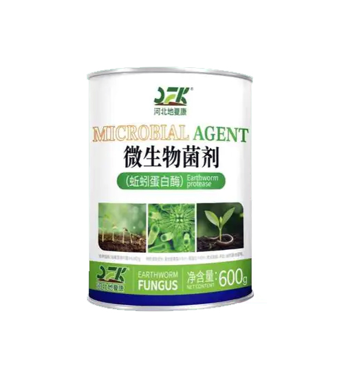 蚯蚓蛋白酶